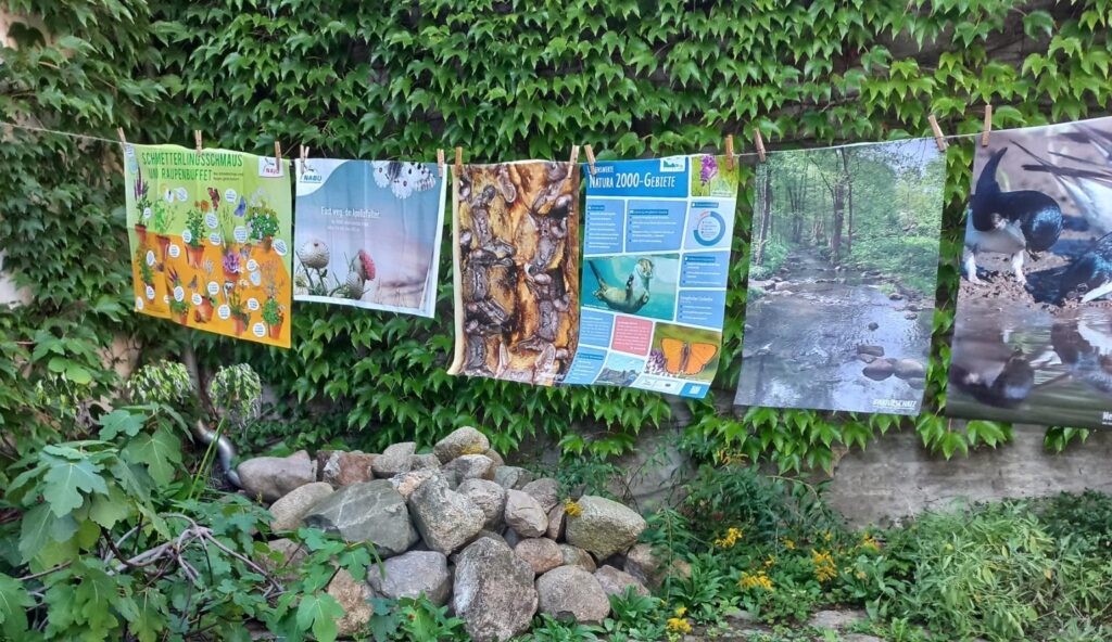 An einer Leine sind nebeneinander mehrere Poster über Naturschutzthemen aufgehängt.