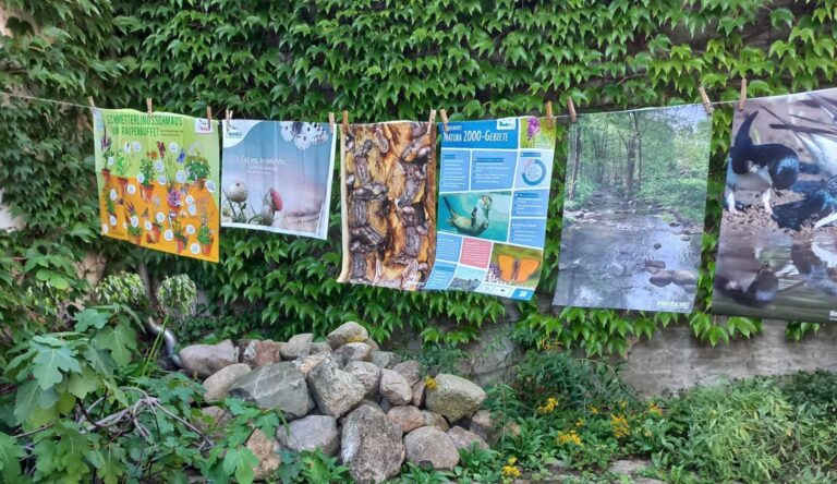 An einer Leine sind nebeneinander mehrere Poster über Naturschutzthemen aufgehängt.